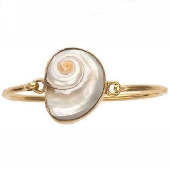 Charles Albert | Unique Cinnerus Shell Bangle / Bracelet - Picture 3 of 16
